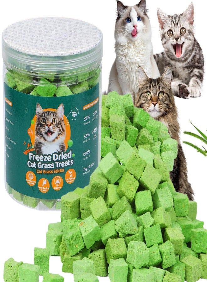 SuPruida 100g Freeze-Dried Cat Grass Treats, Natural Hairball Treatment for Cats, Edible Cats Chew Toy Cat Treats Snack for Teething Cleaning Hairball Removal - Image 1